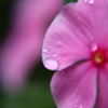 Thumbnail of related posts 000