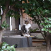 Thumbnail of related posts 093