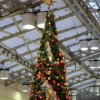 Thumbnail of related posts 156