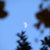 Thumbnail of related posts 187