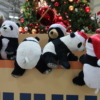 Thumbnail of related posts 097