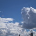 2023/06/16・今日の撮れ高…