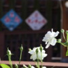 Thumbnail of related posts 036
