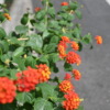 Thumbnail of related posts 010
