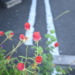 2023/09/13 今日の撮れ高・その3