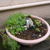 Thumbnail of related posts 151