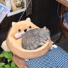 Thumbnail of related posts 123