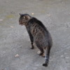 Thumbnail of related posts 016