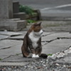 Thumbnail of related posts 076