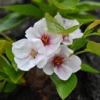 Thumbnail of related posts 174
