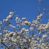 Thumbnail of related posts 199