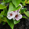 Thumbnail of related posts 195