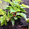Thumbnail of related posts 061