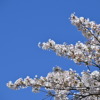 Thumbnail of related posts 026