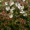 Thumbnail of related posts 142