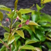 Thumbnail of related posts 172