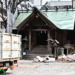 2024/04/13 今日の撮れ高