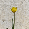 Thumbnail of related posts 104