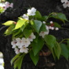 Thumbnail of related posts 085