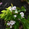 Thumbnail of related posts 064