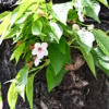 Thumbnail of related posts 050