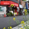 Thumbnail of related posts 058