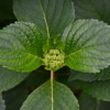 Thumbnail of related posts 065