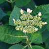 Thumbnail of related posts 021