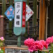 2024/05/12 今日の撮れ高