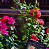 Thumbnail of related posts 057