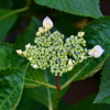 Thumbnail of related posts 014