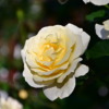 Thumbnail of related posts 058