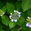 Thumbnail of related posts 088