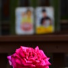 Thumbnail of related posts 034