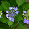 Thumbnail of related posts 095