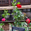Thumbnail of related posts 123