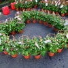 Thumbnail of related posts 095