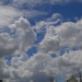 2024/08/26 今日の撮れ高…