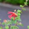 Thumbnail of related posts 055