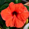 Thumbnail of related posts 061